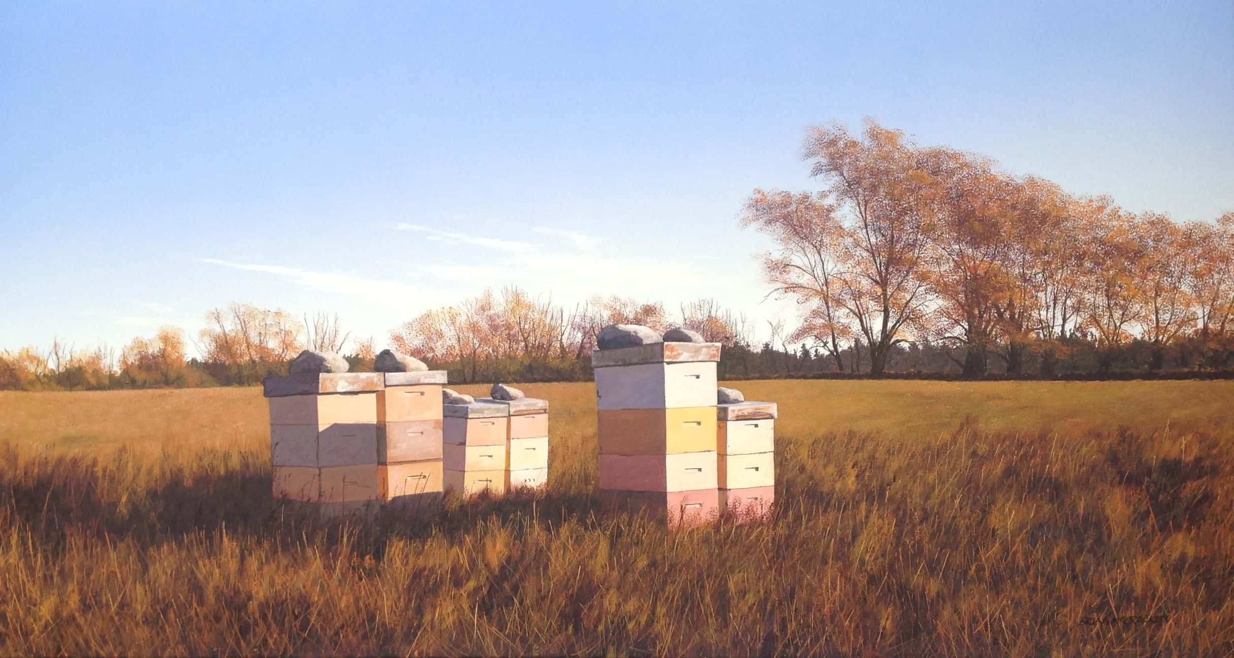 Beehives in Autumn  Evening, Fernside, North Canterbury